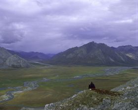 960px-Person_on_rock_above_Arctic_National_Wildlife_Refuge_(8424212949)