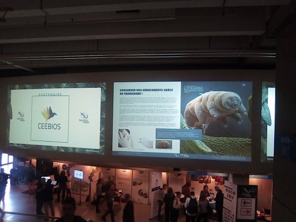 XGKpg118GRKtn3U6PziO-6d05fTN6vHTwCm4oD1X1SfanBLIoRksNbC6KBiJzVRO4M73rag4behFZjtOnxGzrVMkL8LE6UgpiYghtth74XAp8CSv-YiLly-ETdoQmpSlbXDTdQ5qnN0Qyfr-xok9CDjaqajap5O8rIS0x2eJpfq_noiJ1wr3JCBpOM